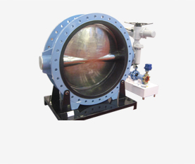 Center lined Butterfly Valve