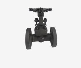 Forge Steel Gate Valve